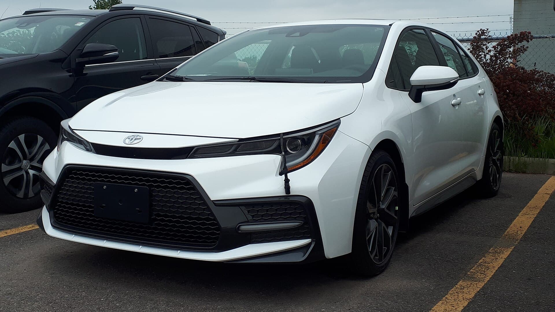 2021 Toyota Corolla in Super White — photograph 6 of 6