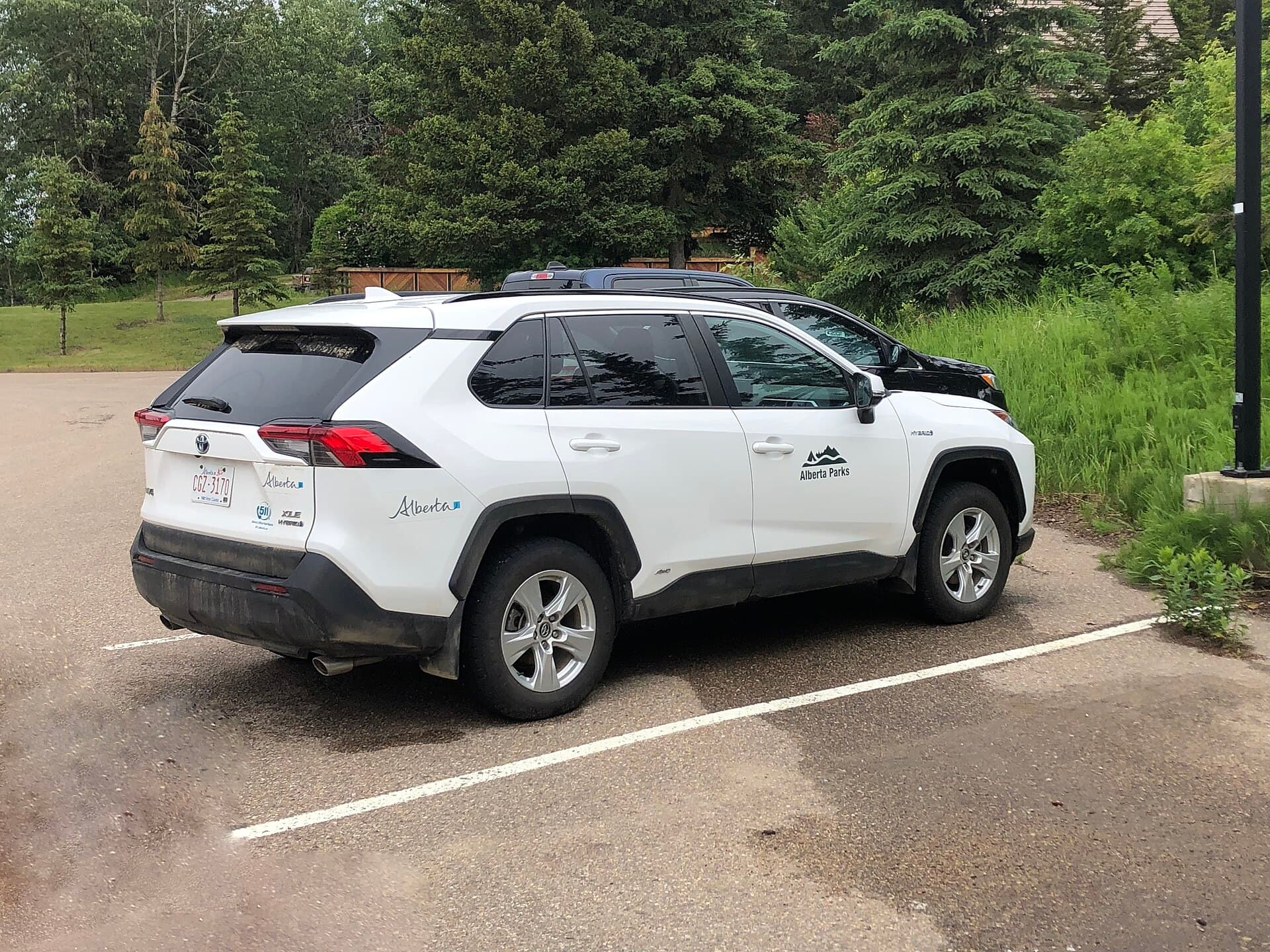 2022 Toyota RAV4 in Blizzard Pearl